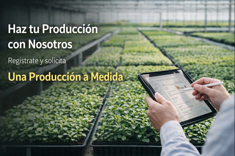 Haz tu producción con nosotros: regístrate y solicita una producción a medida