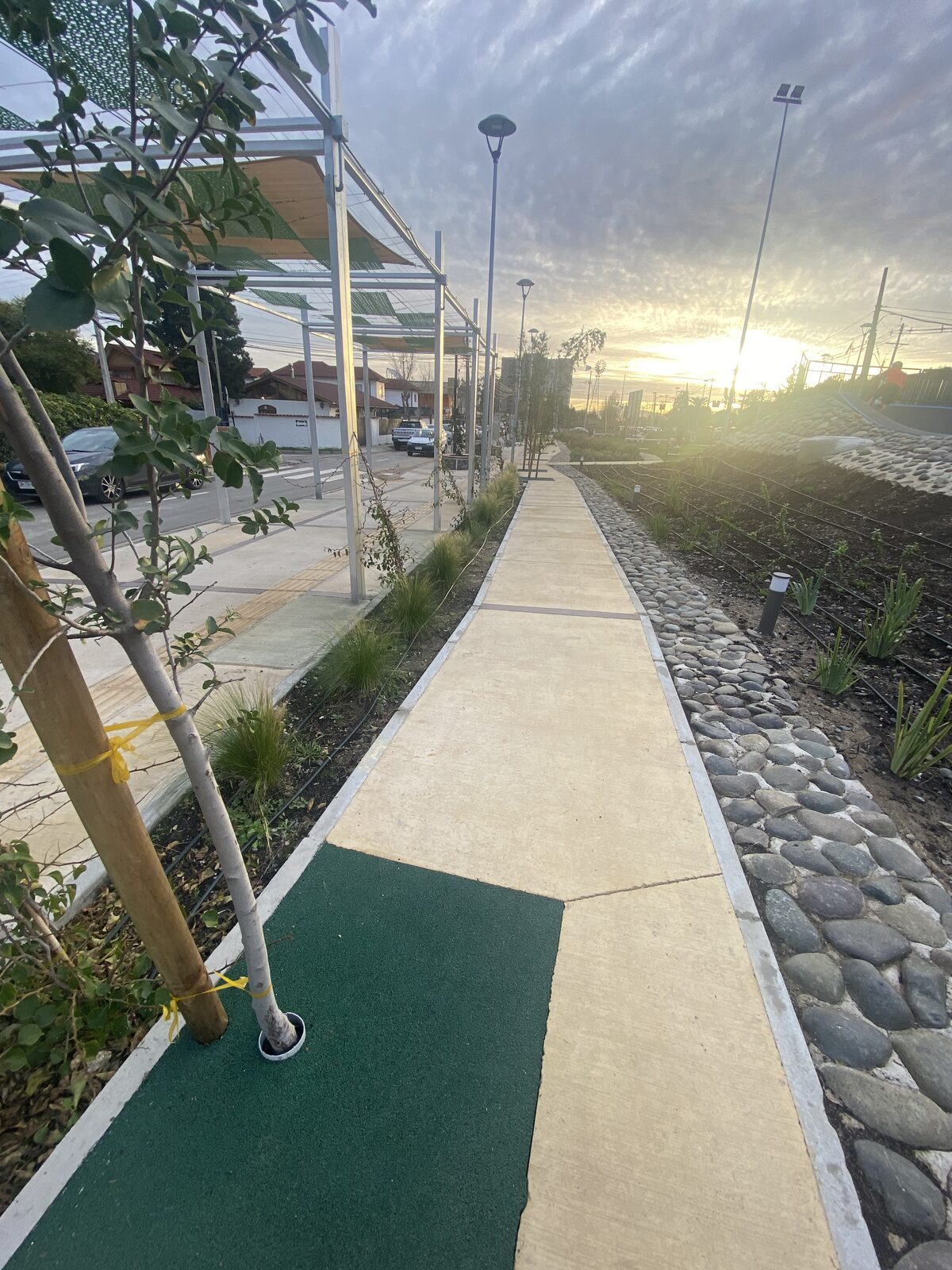 Plantas Roelplant en un espacio público — área verde con riego por goteo 10