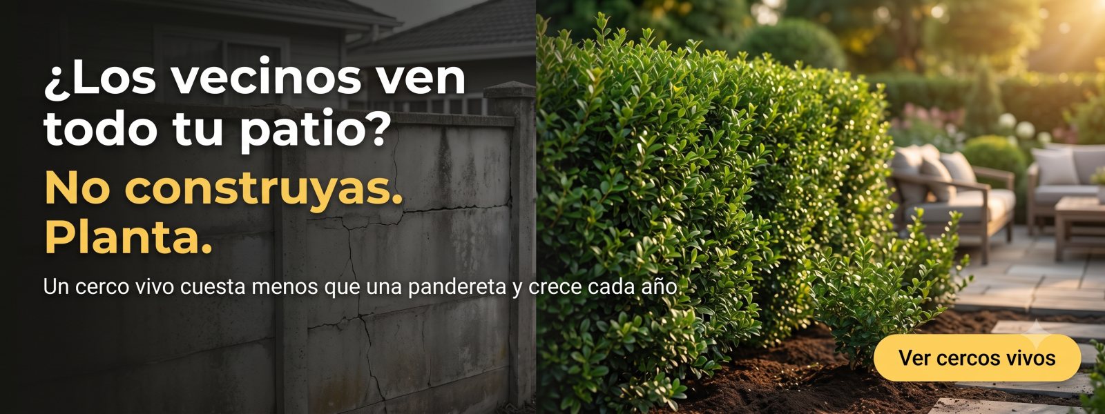 Cerco vivo: arbustos densos para privacidad natural del patio — Vivero Roelplant